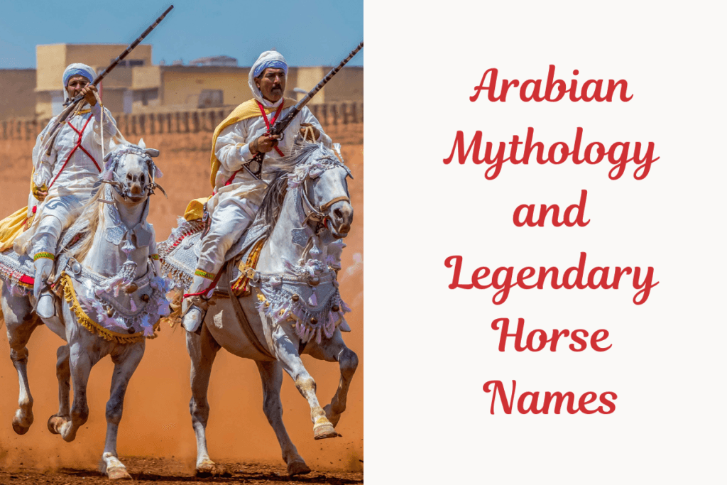 Arabian Mythology and Legendary Horse Names