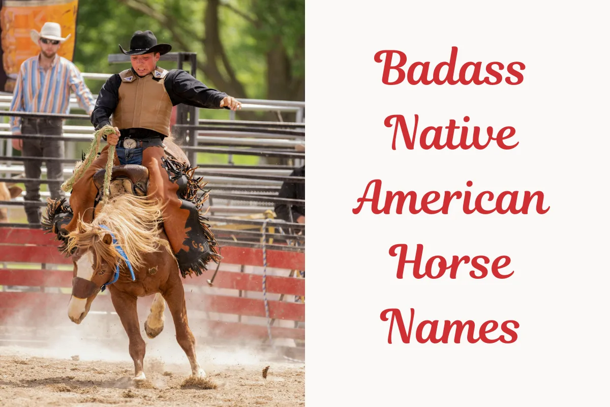 Badass Jamaican Horse Names (1). Image