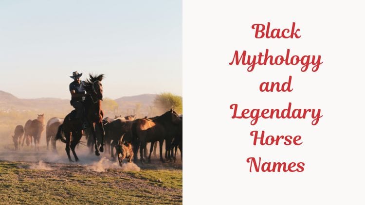 Black Mythology and Legendary Horse Names