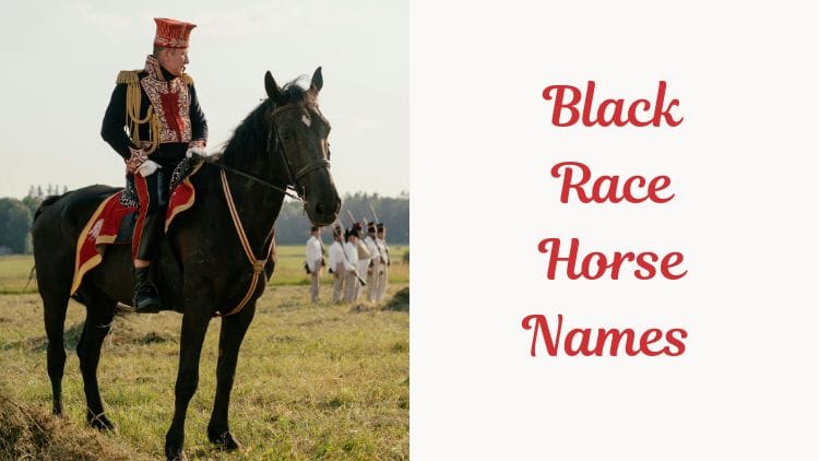 Black Race Horse Names