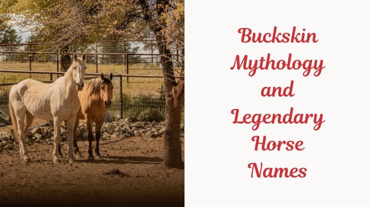 Buckskin Mythology and Legendary Horse Names