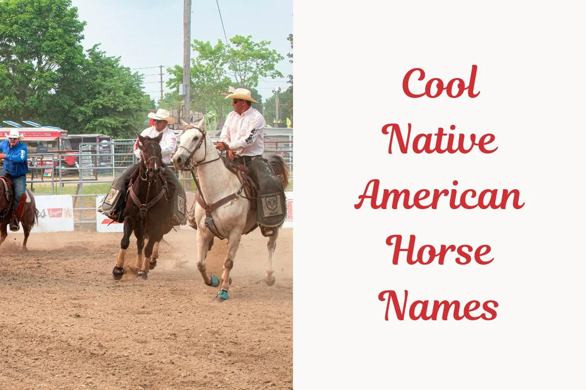 Cool Native American Horse Names. image