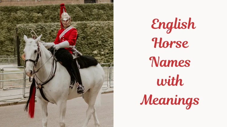 English Horse Names with Meanings (2). Image