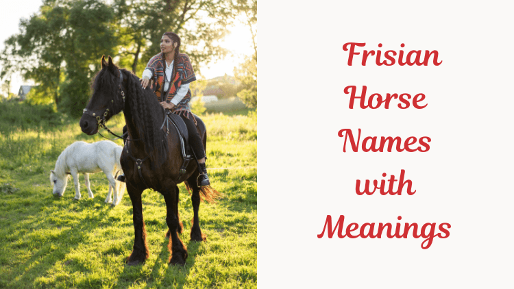 Friesian Horse Names with Meanings. image