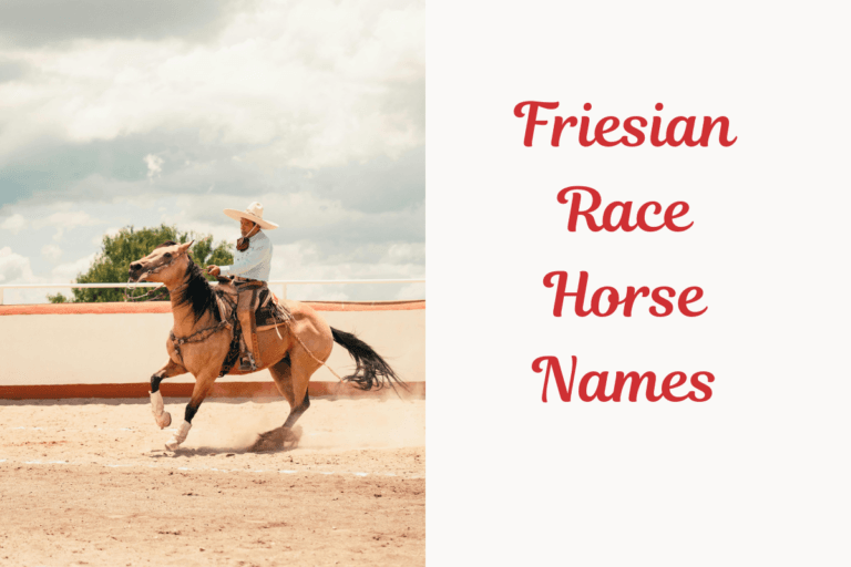 Friesian Race Horse Names. image