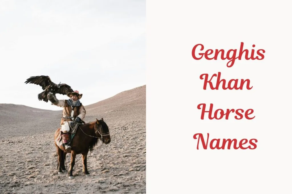_Genghis Khan Horse Names