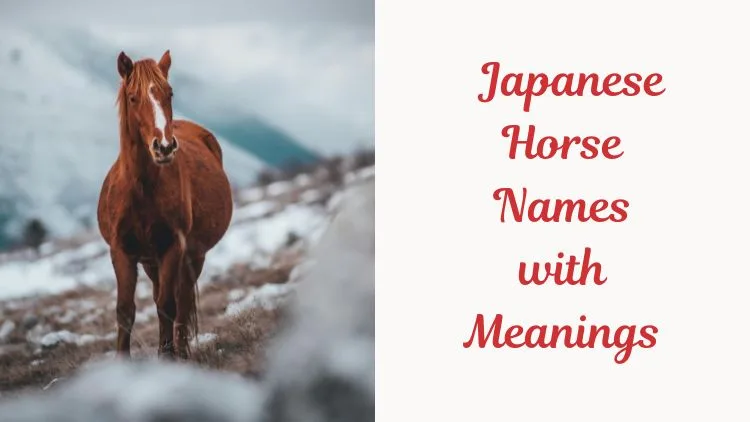 Japanese Horse Names with Meanings