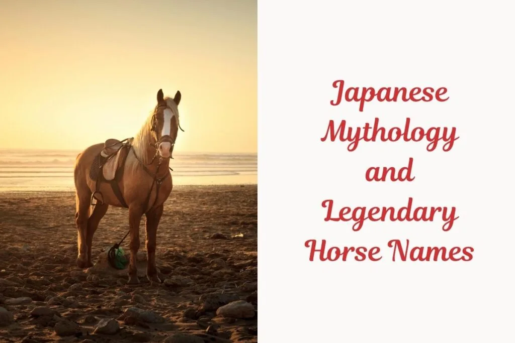 Japanese Mythology and Legendary Horse Names