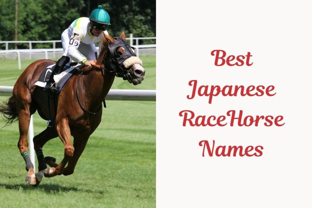Japanese Race Horse Names