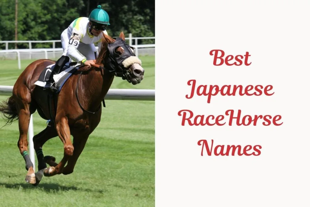 Japanese Race Horse Names