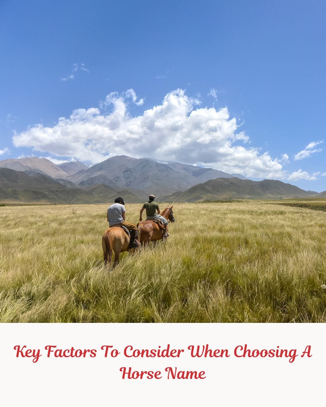 Key Factors To Consider When Choosing A Horse Name- image.