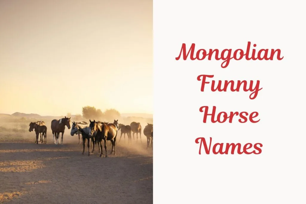 _Mongolian Funny Horse Names