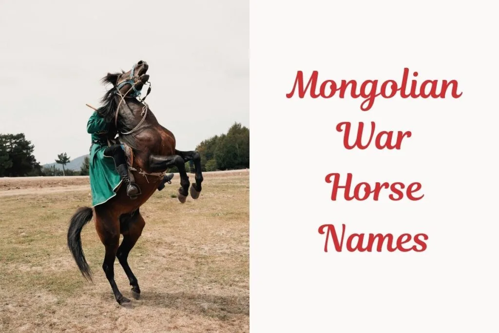 _Mongolian War Horse Names