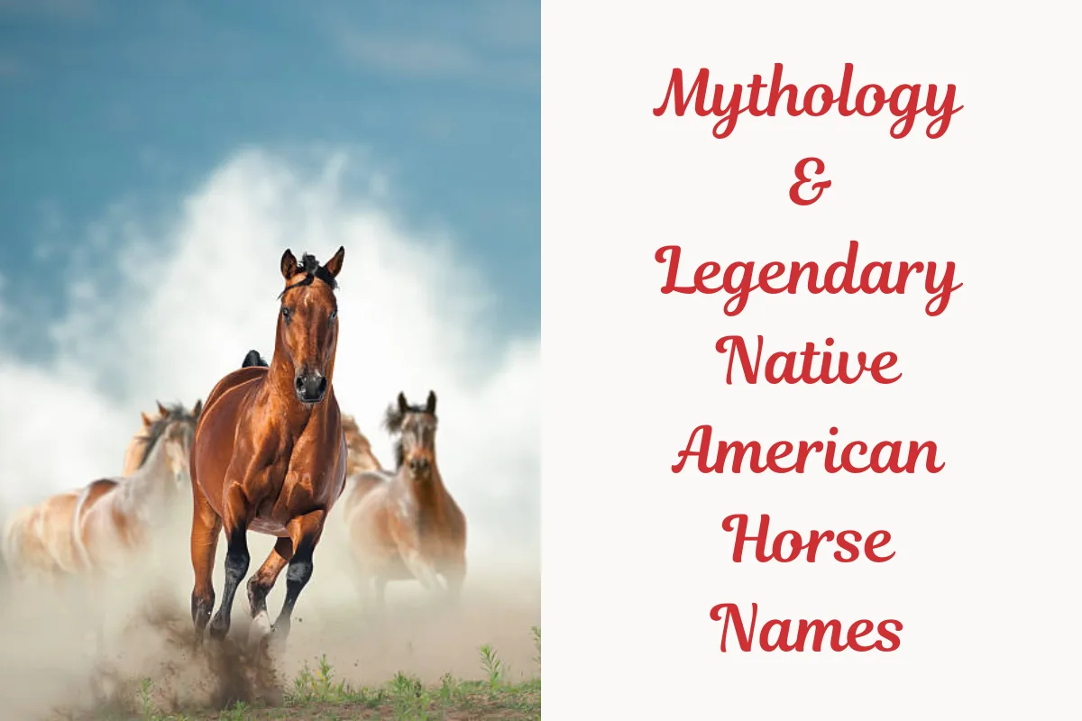 Mythology & Legendary Native American Horse Names. Image