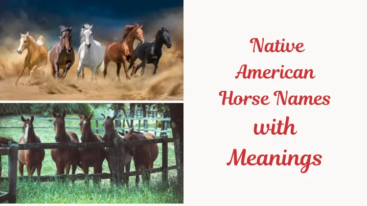 Native American Horse Names with Meanings. Feature Image