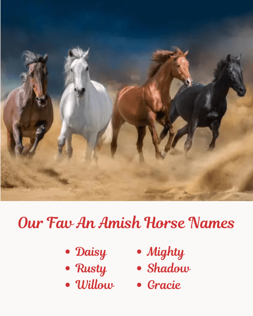 Our Fav An Amish Horse Names. image