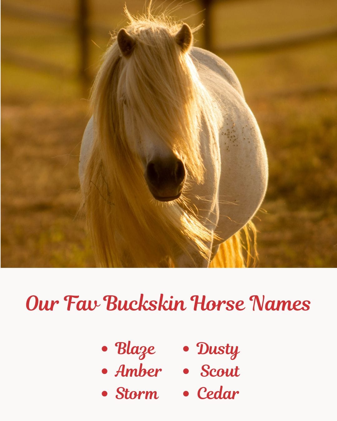 Our Fav Buckskin Horse Names