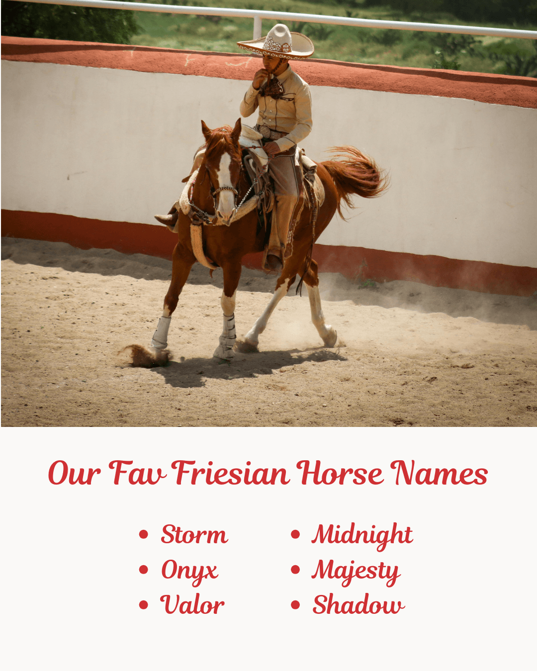 Our Fav Friesian Horse Names. image