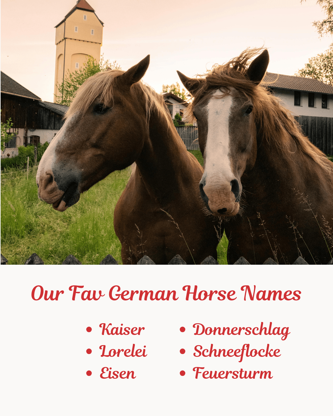 Our Fav German Horse Names, image