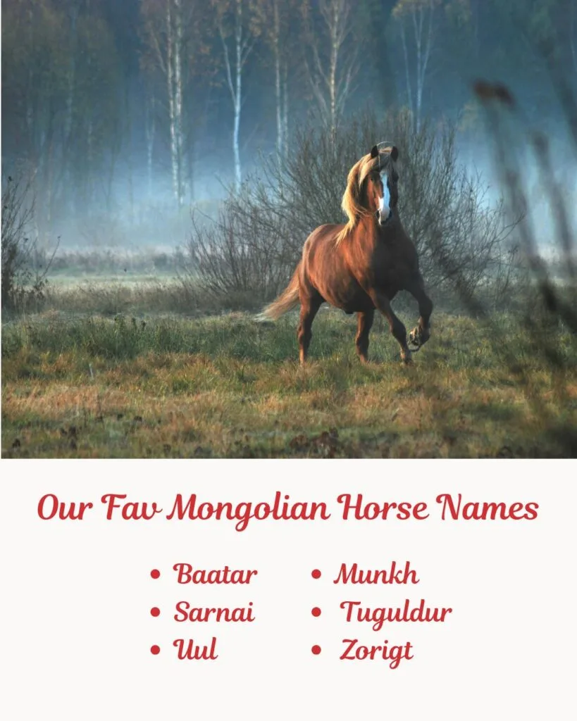 Our Fav Mongolian Horse Names