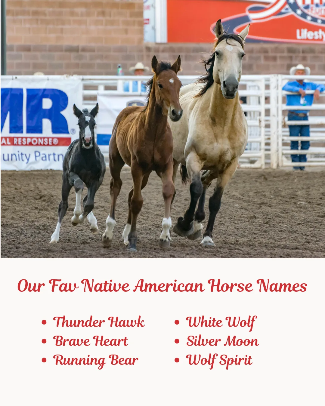 Our Fav Native American Horse Names. image