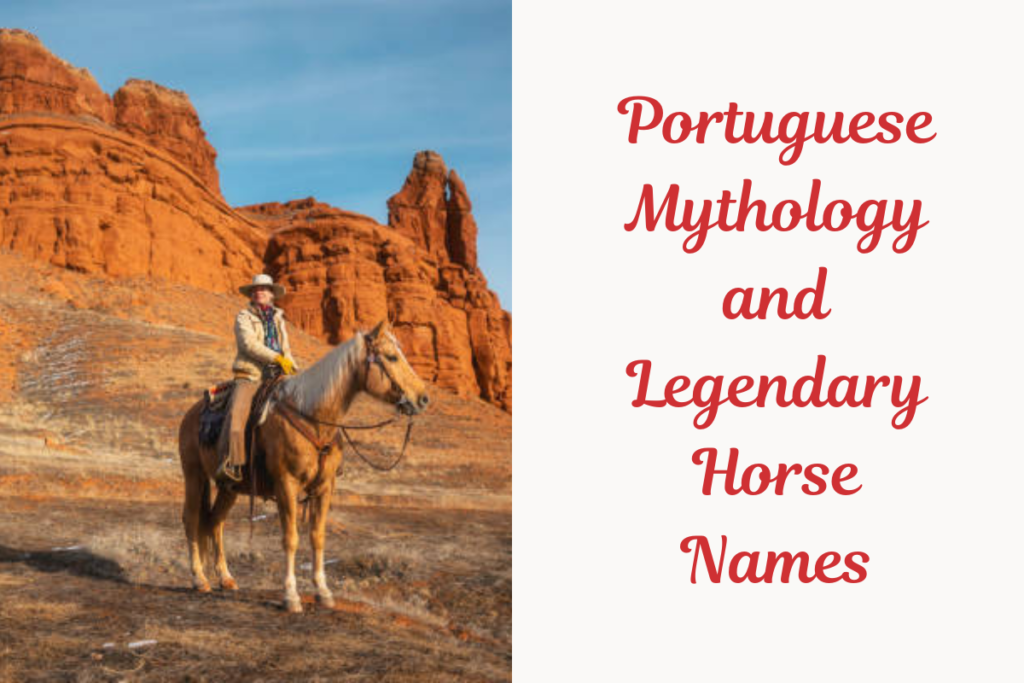 Portuguese Mythology and Legendary Horse Names