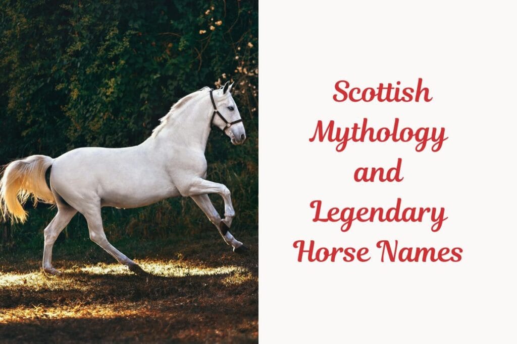 _Scottish Mythology and Legendary Horse Names