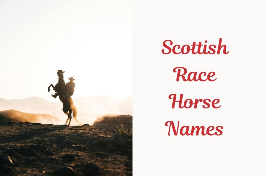 Scottish Race Horse Names