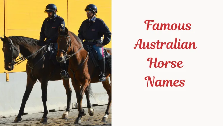 Famous Australian Horse Names. Image