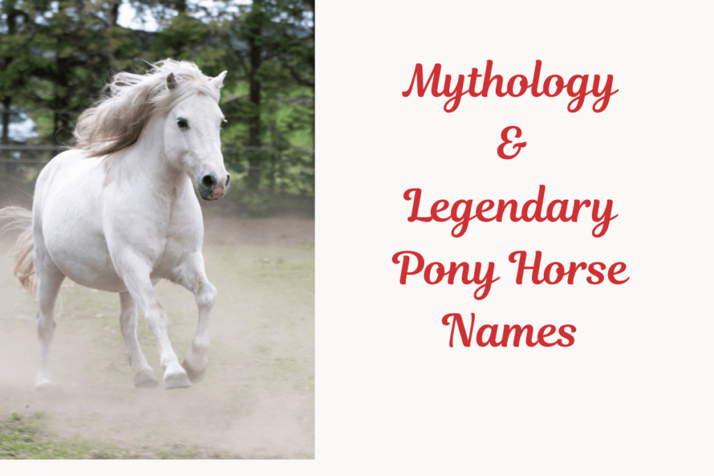 Mythology & Legendary Pony Horse Names. Image